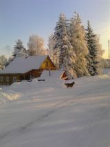 Магоева Любовь 10 класс Утро в деревне